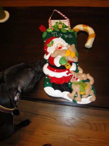 Bucilla Christmas Stocking Dog